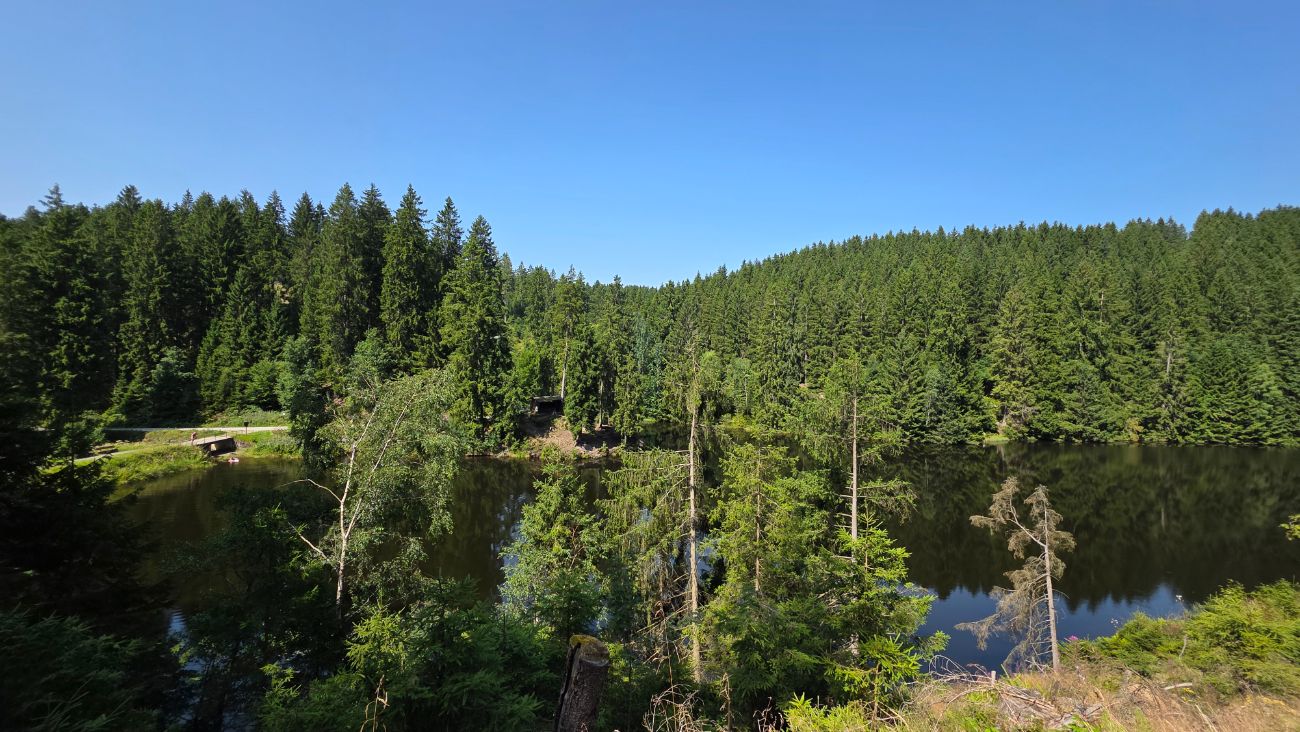 Waldsee im Harz, umgeben von Nadelwald