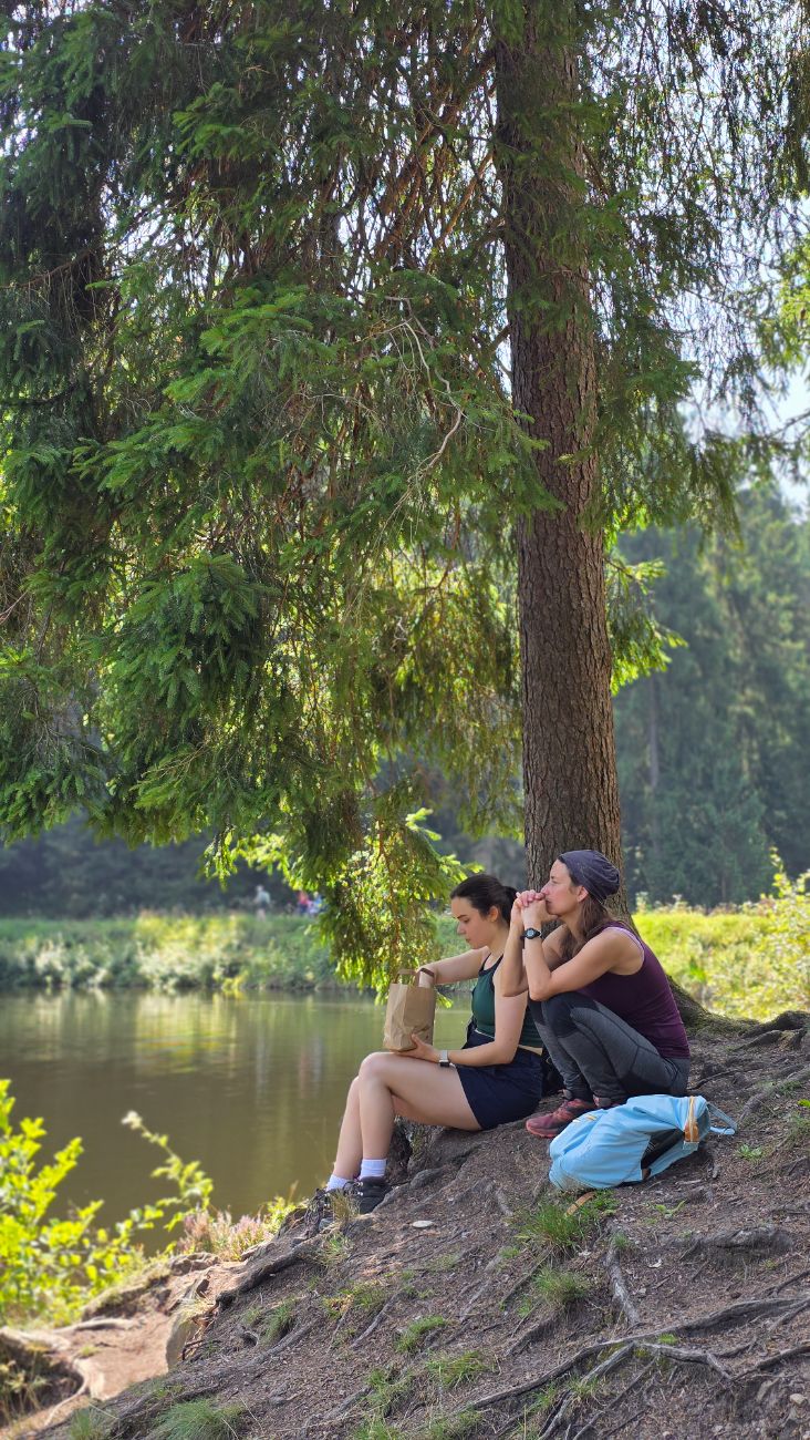 Pause am Seeufer unter Tannen
