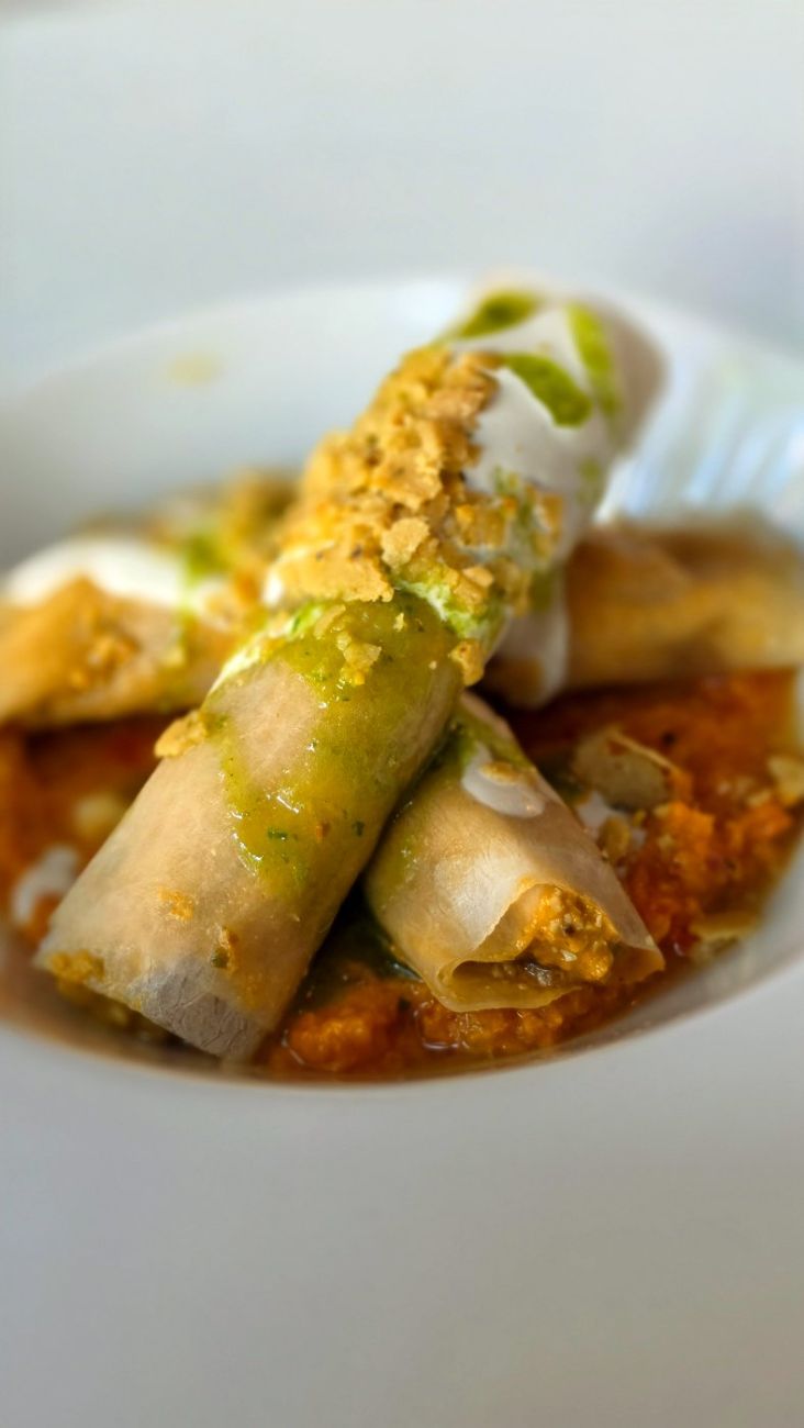 Cannelloni mit Sud